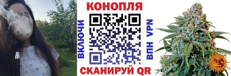 Как найти наркотики Власиха Каннабис  СОЛЬ  ГАШ  Меф мяу мяу 