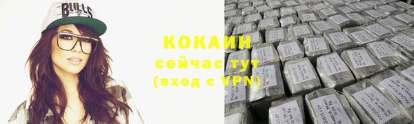 крисы Магас