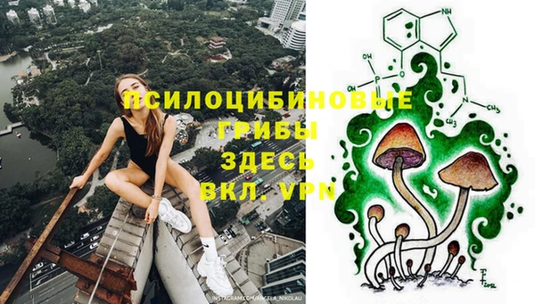 мет Абаза